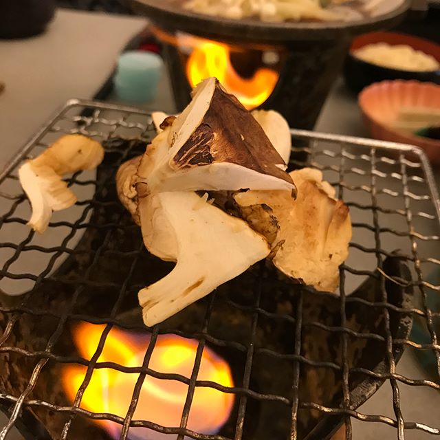 昼から松茸と松坂牛だぜ🐂🐔