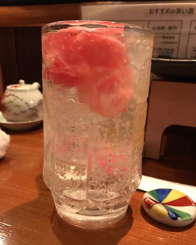 小町のガリ酎最高だなあ🍺